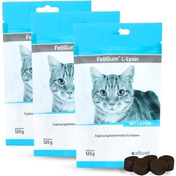 kilka saszetek FeliGum® L-Lysin