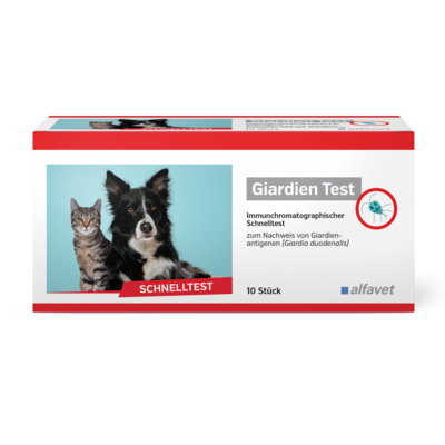 Giardia rapid test firmy Alfavet – szybki test kasetkowy do wykrywania lambliozy u psów i kotów (wynik w 10 minut). 