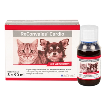 ReConvales Cardio opakowanie 3 x 90 ml dla kota i małego psa