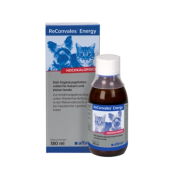 ReConvales Energy front opakowania z informacja o przeznaczeniu dla kotow i malych psow.