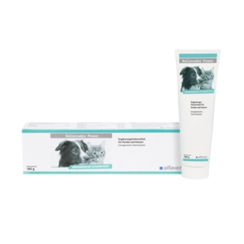 ReConvales® Power – energetyczna pasta witaminowa dla psów i kotów